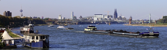 IMG_3540_3.jpg