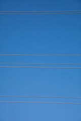 IMG 8782