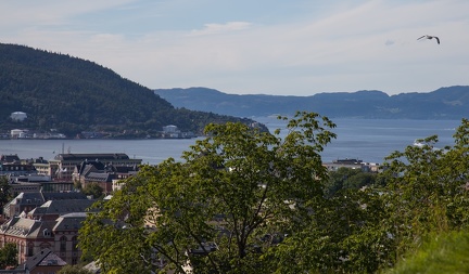 Fjord von Trondheim