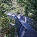 IMG 2500