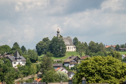  DSC0549