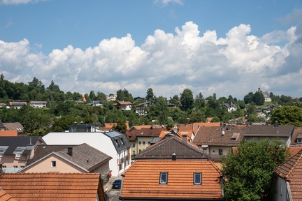  DSC0550