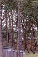 IMG 4692