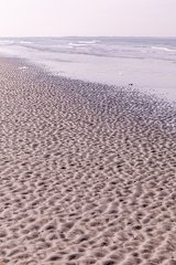 IMG 4874