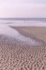 IMG 4875