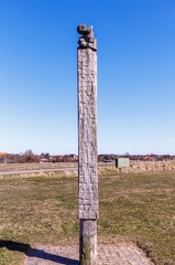 IMG 4810