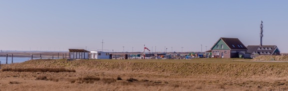 IMG 4807