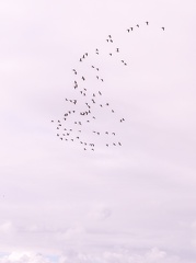 IMG 4682