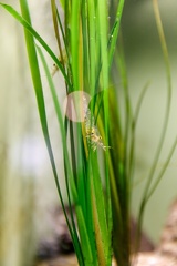 IMG 4782