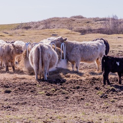 Tiere und Pflanzen