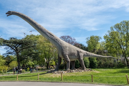 DSC 1906